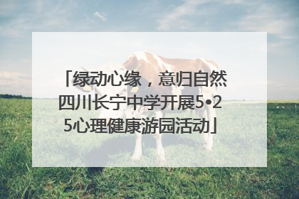 绿动心缘，意归自然 四川长宁中学开展5•25心理健康游园活动