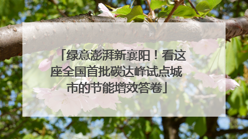 绿意澎湃新襄阳！看这座全国首批碳达峰试点城市的节能增效答卷