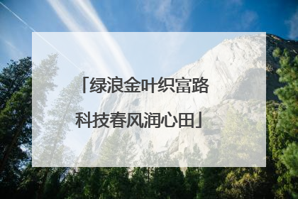 绿浪金叶织富路 科技春风润心田