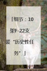 细节：10架F-22支援“历史性任务”