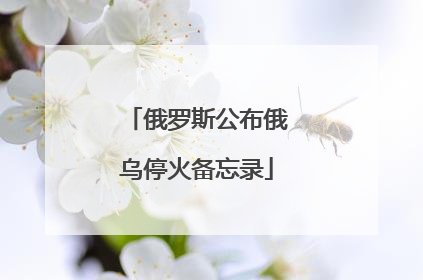 俄罗斯公布俄乌停火备忘录