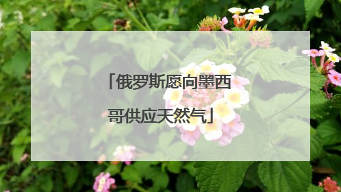 俄罗斯愿向墨西哥供应天然气