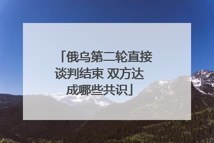 俄乌第二轮直接谈判结束 双方达成哪些共识