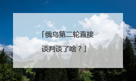 俄乌第二轮直接谈判谈了啥？