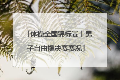 体操全国锦标赛丨男子自由操决赛赛况