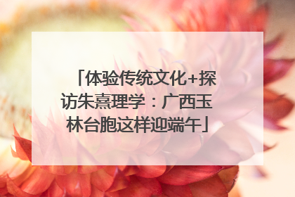体验传统文化+探访朱熹理学：广西玉林台胞这样迎端午