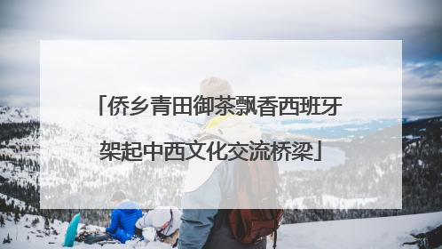 侨乡青田御茶飘香西班牙 架起中西文化交流桥梁