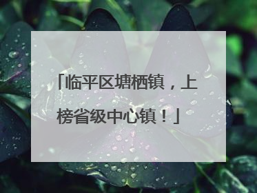 临平区塘栖镇，上榜省级中心镇！