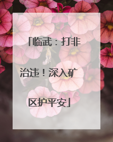 临武：打非治违！深入矿区护平安