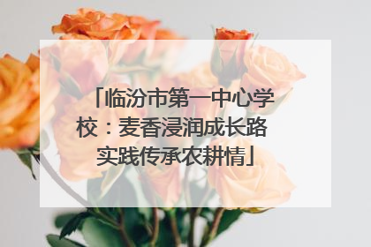 临汾市第一中心学校：麦香浸润成长路 实践传承农耕情