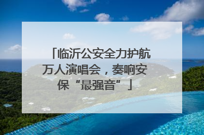 临沂公安全力护航万人演唱会，奏响安保“最强音”
