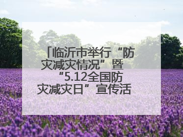 临沂市举行“防灾减灾情况”暨 “5.12全国防灾减灾日”宣传活动新闻发布会