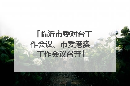 临沂市委对台工作会议、市委港澳工作会议召开