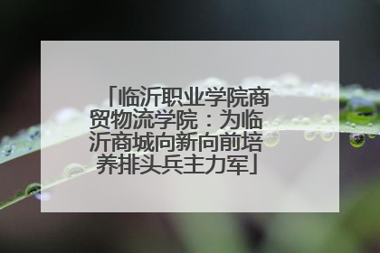 临沂职业学院商贸物流学院：为临沂商城向新向前培养排头兵主力军