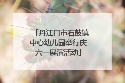 丹江口市石鼓镇中心幼儿园举行庆六一展演活动