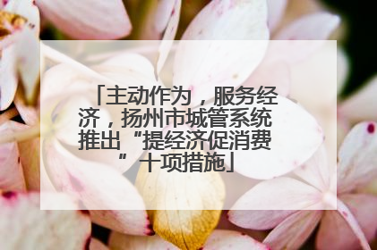 主动作为，服务经济，扬州市城管系统推出“提经济促消费”十项措施