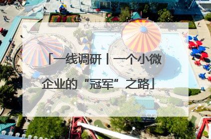 一线调研丨一个小微企业的“冠军”之路