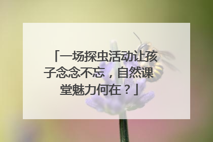 一场探虫活动让孩子念念不忘，自然课堂魅力何在？