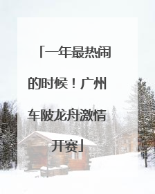 一年最热闹的时候！广州车陂龙舟激情开赛