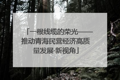 一根线缆的荣光——推动青海民营经济高质量发展·新视角