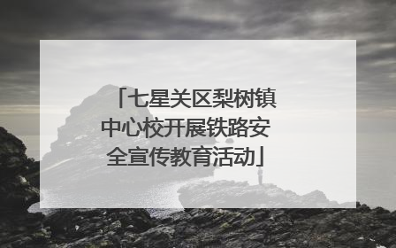 七星关区梨树镇中心校开展铁路安全宣传教育活动