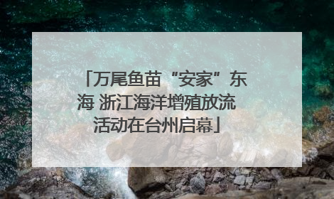 万尾鱼苗“安家”东海 浙江海洋增殖放流活动在台州启幕