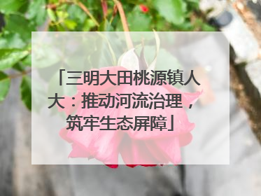 三明大田桃源镇人大：推动河流治理，筑牢生态屏障
