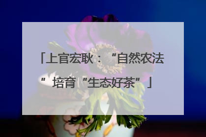 上官宏耿：“自然农法”培育“生态好茶”