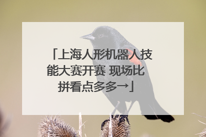 上海人形机器人技能大赛开赛 现场比拼看点多多→