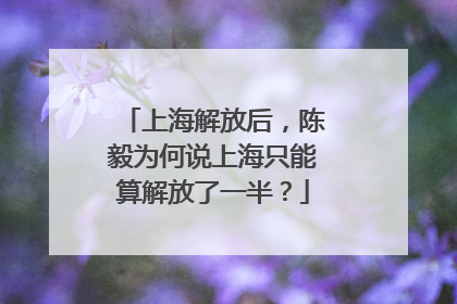 上海解放后，陈毅为何说上海只能算解放了一半？