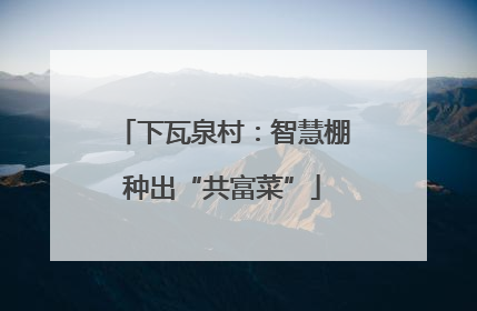 下瓦泉村：智慧棚种出“共富菜”
