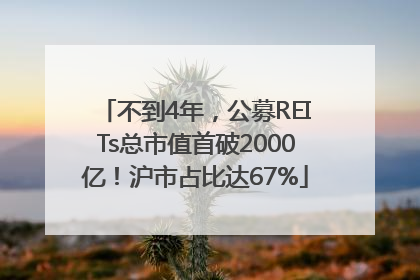 不到4年，公募REITs总市值首破2000亿！沪市占比达67%