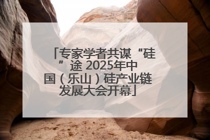 专家学者共谋“硅”途 2025年中国（乐山）硅产业链发展大会开幕