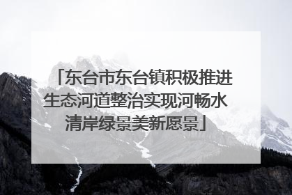 东台市东台镇积极推进生态河道整治实现河畅水清岸绿景美新愿景