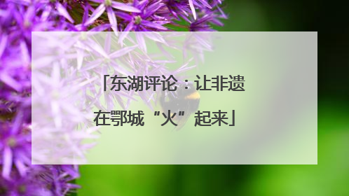 东湖评论：让非遗在鄂城“火”起来