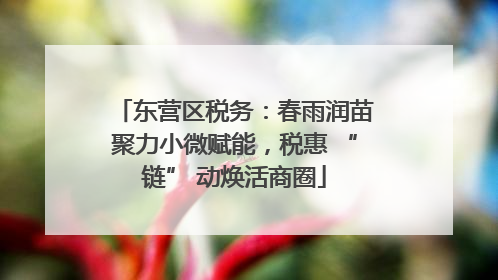 东营区税务：春雨润苗聚力小微赋能，税惠 “链” 动焕活商圈