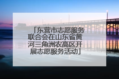 东营市志愿服务联合会在山东省黄河三角洲农高区开展志愿服务活动