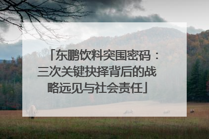 东鹏饮料突围密码：三次关键抉择背后的战略远见与社会责任