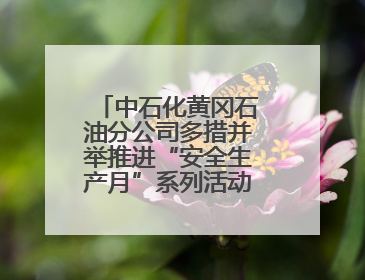 中石化黄冈石油分公司多措并举推进“安全生产月”系列活动走深走实