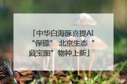 中华白海豚喜提AI“保镖” 北京生态“藏宝图”物种上新