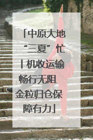 中原大地“三夏”忙丨机收运输畅行无阻 金粒归仓保障有力