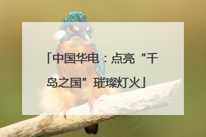 中国华电：点亮“千岛之国”璀璨灯火