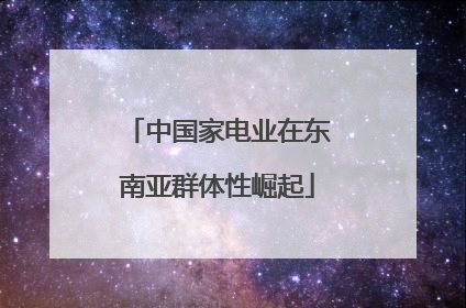中国家电业在东南亚群体性崛起