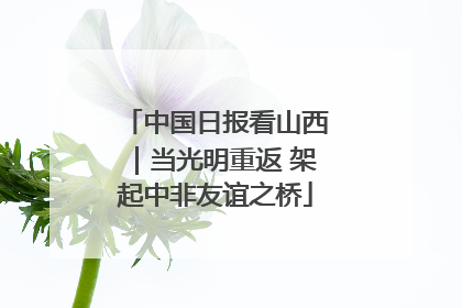 中国日报看山西｜当光明重返 架起中非友谊之桥