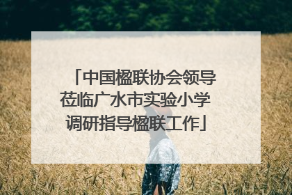 中国楹联协会领导莅临广水市实验小学调研指导楹联工作