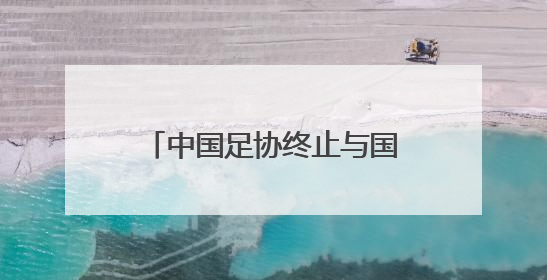 中国足协终止与国足主帅伊万合作
