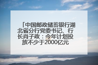 中国邮政储蓄银行湖北省分行党委书记、行长肖子政：今年计划投放不少于2000亿元支持支点建设