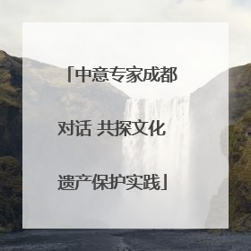 中意专家成都对话 共探文化遗产保护实践