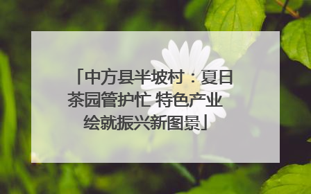 中方县半坡村：夏日茶园管护忙 特色产业绘就振兴新图景