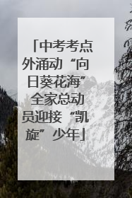 中考考点外涌动“向日葵花海” 全家总动员迎接“凯旋”少年